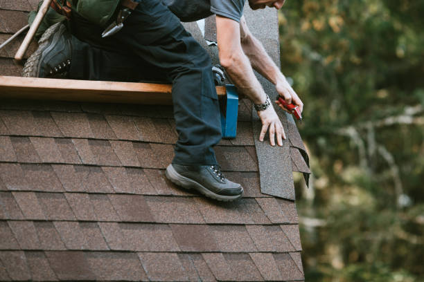Best Storm Damage Roof Repair  in Timber Pines, FL